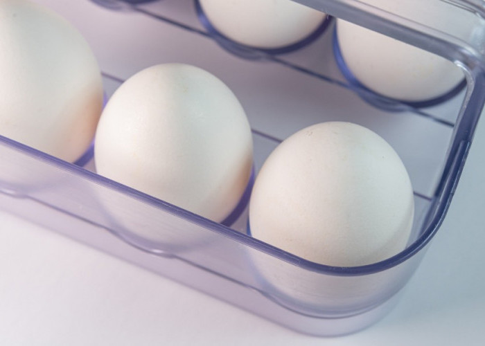 Apakah Menyimpan Telur di Kulkas itu Berbahaya? 