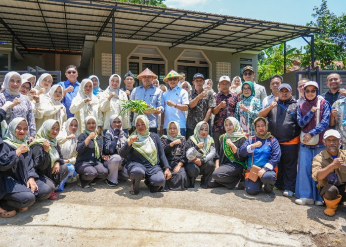 Panen Perdana Gertaman di Rumah Dinas Bupati Bandung, Siap Pasok Kebutuhan MBG