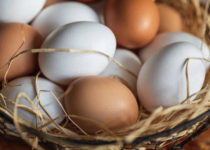 5 Manfaat Telur Omega-3 bagi Kesehatan, Baik untuk Otak dan Kesehatan Jantung