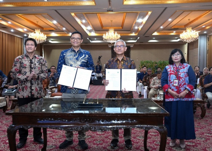 DJP, DJPK, dan Pemda Perkuat Sinergi Perpajakan Untuk Tingkatkan Penerimaan Negara dan Daerah
