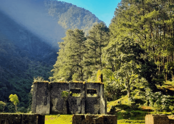 Gunung Puntang: Menyegarkan Pikiran dengan Healing di Tengah Keindahan Alam dan Sejarah Radio Malabar!