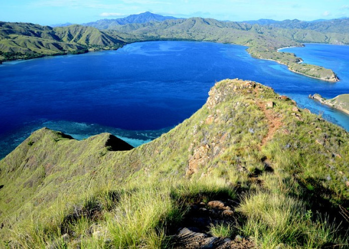 5 Fakta Unik Pulau Komodo yang Menakjubkan dan Memikat Hati di Nusa Tenggara Timur