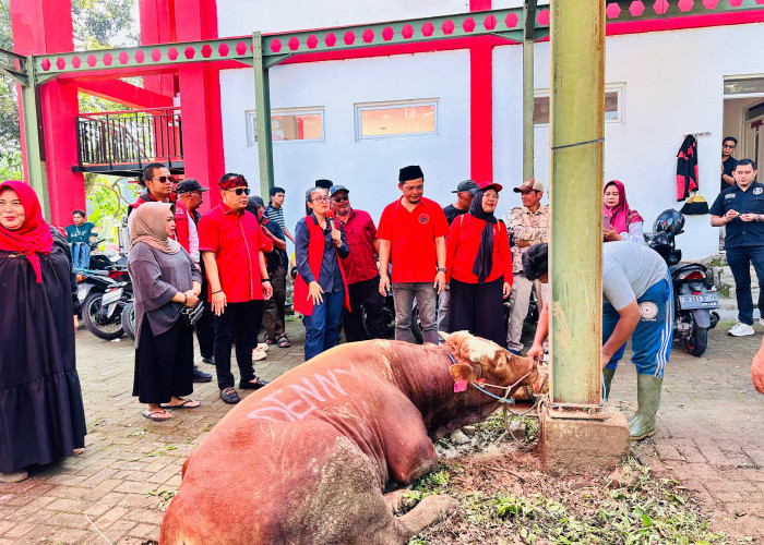 Ketua DPC PDI Perjuangan KBB dan GNTI Jabar Tebar Hewan Kurban 