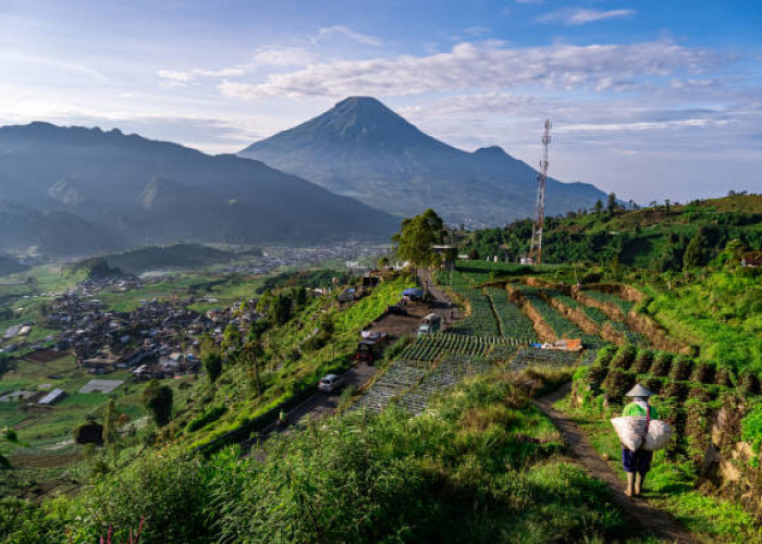 7 Daerah Terdingin di Indonesia dengan Pemandangan yang Memukau