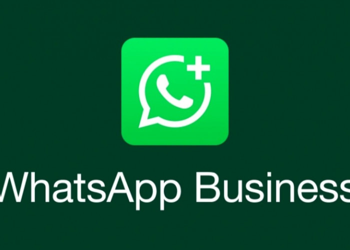 Mulai Bulan Depan Akan Ada Biaya Pengiriman Pesan di Whatsapp Akun Bisnis, Ini Aturannya