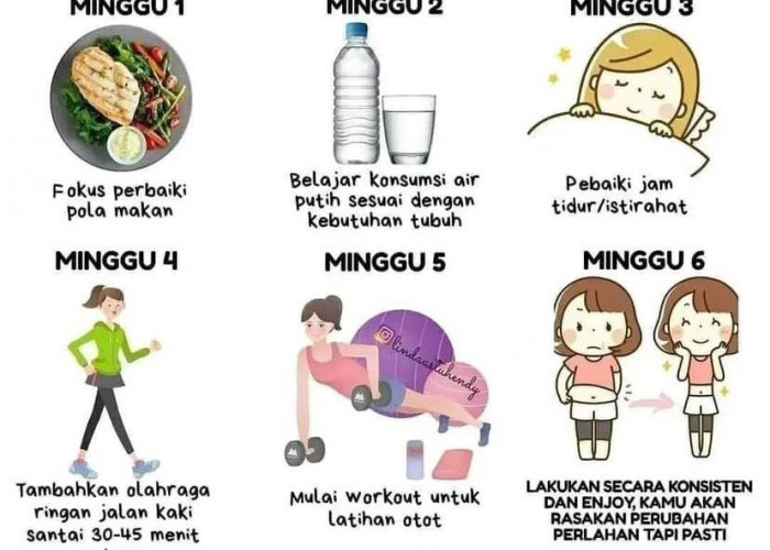 Step Bye Step Langsing Hanya dalam 6 Minggu! Cobain Aja Klo Gak Percaya