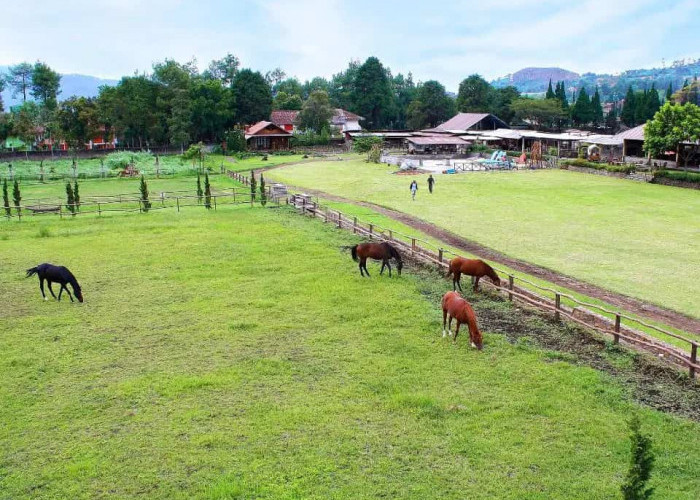 7 Rekomendasi Wisata Anak Paling Hits di Bandung, Sempurna untuk Liburan & Wajib Dikunjungi