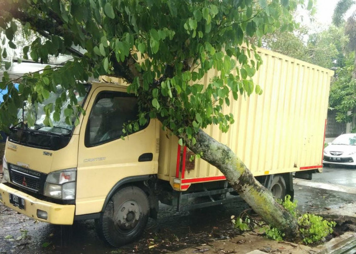 Cuaca Ekstrem Landa Bandung, Dalam Sepekan 12 Pohon Tumbang