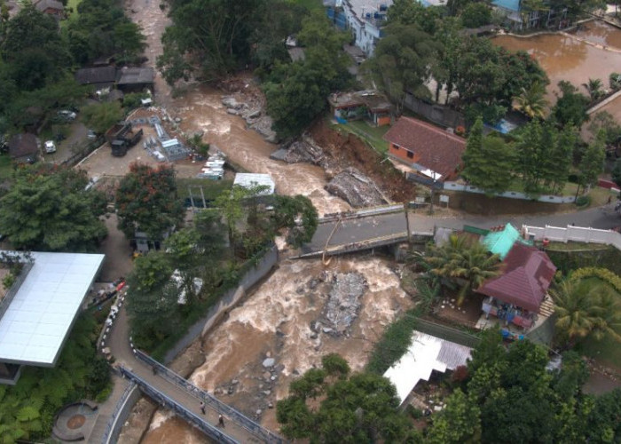 FWI Temukan Kerusakan Hutan di Hulu Sungai Ancam Konservasi Air dan Tanah