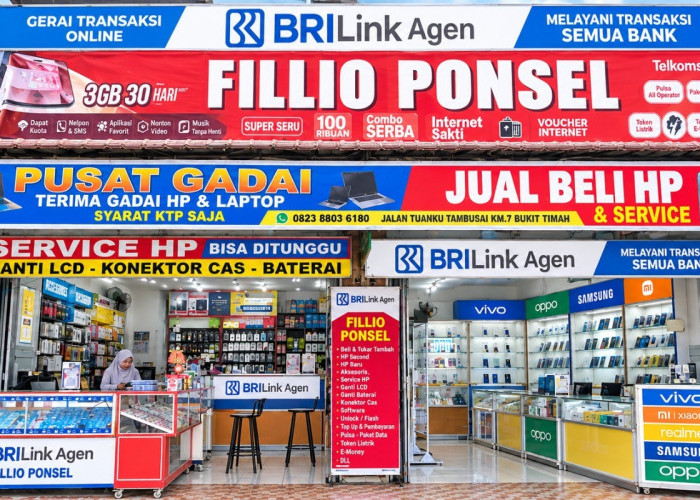 BRILink Agen Fillio Hadir hingga Pinggiran Dumai, Dekatkan Layanan Keuangan Inklusif bagi Masyarakat 
