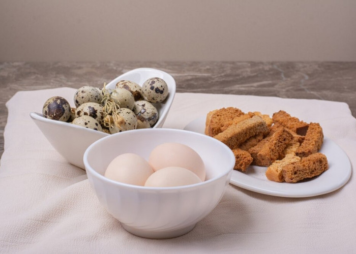 Bagi Kamu Pecinta Tahu dan Telur, Simak Dulu Manfaat Tahu dan Telur Bagi Kesehatan!