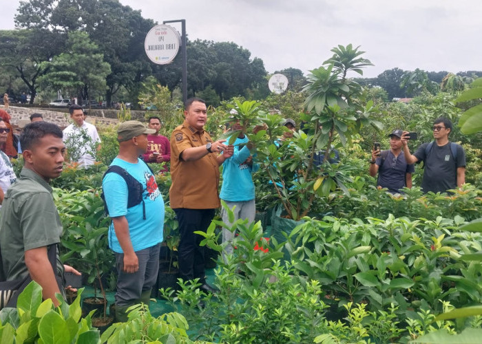 Bayar Rp 100 Ribu per Tahun di Pasar Petani Garuda, Cegah Jual Beli Lapak
