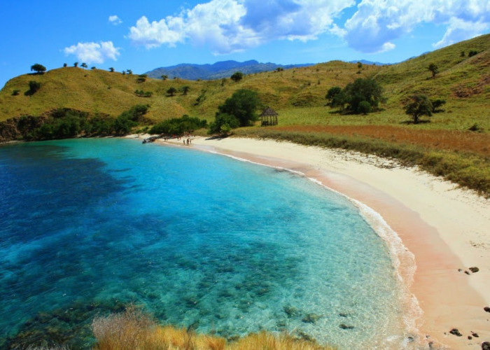 Pink Beach Lombok: Hidden Gem dan Tempat Healing di Pantai Berpasir Pink yang Menyenangkan