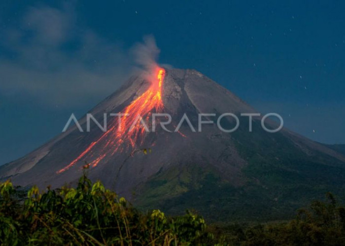 Peningkatan Aktivitas Merapi: 148 Kali Guguran Lava dalam Seminggu   