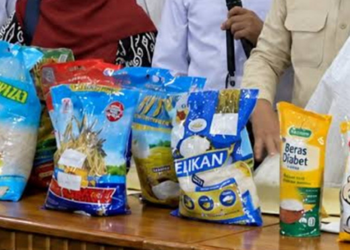 Beras Fortifikasi Abal-abal Mulai Ditarik, Bulog Siapkan 1 Juta Ton Beras SPHP