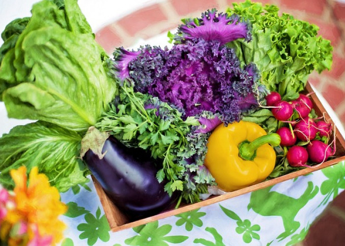 11 Sayuran yang Baik untuk Kulit Wajah yang Kaya Vitamin dan Nutrisi!   
