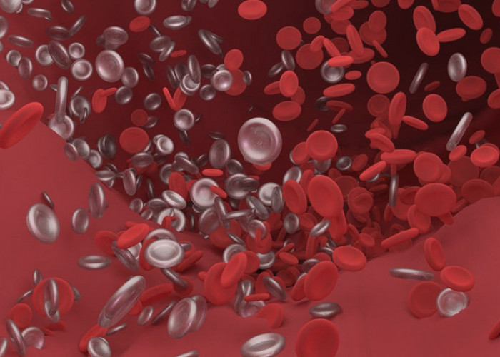 5 Cara Alami Membersihkan Pembuluh Darah Tanpa Harus ke Dokter