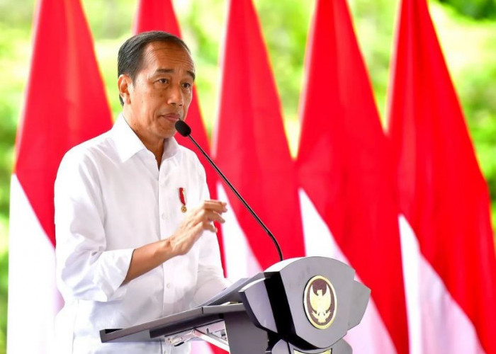 Jokowi Ungkap Harga Tanah di IKN Jauh Lebih Murah Tapi Gampang Naiknya