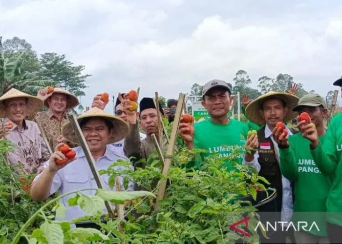 Baznas Mendukung Kemandirian Ekonomi di Garut Melalui Kelompok Tani Binaan