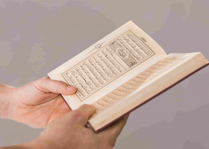 Pemerintah Turki Harapkan Langkah Pencegahan Penistaan Al-Quran ke Swedia