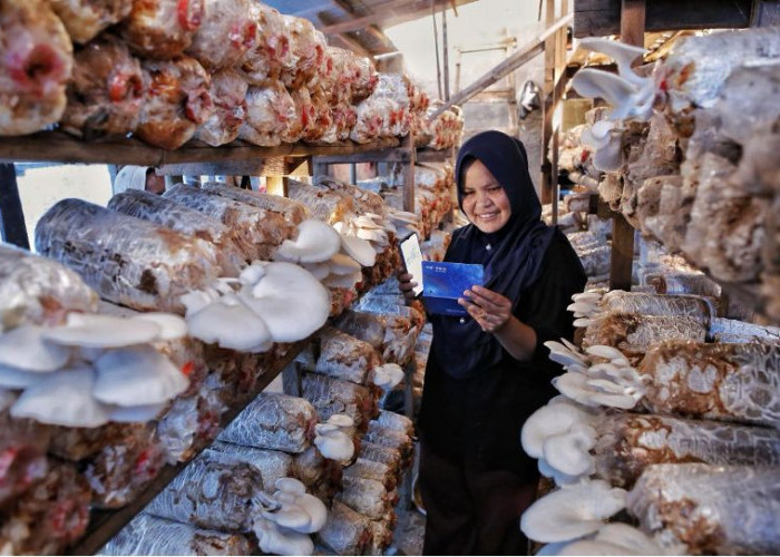 Indeks Bisnis UMKM BRI Triwulan II 2026: Ketahanan UMKM Terjaga, Ditopang Optimisme Prospek Usaha
