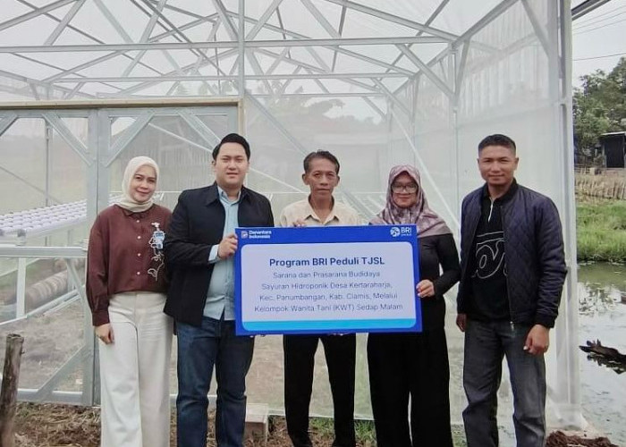 BRI Salurkan Bantuan TJSL Sarana Hidroponik untuk KWT Sedap Malam di Ciamis