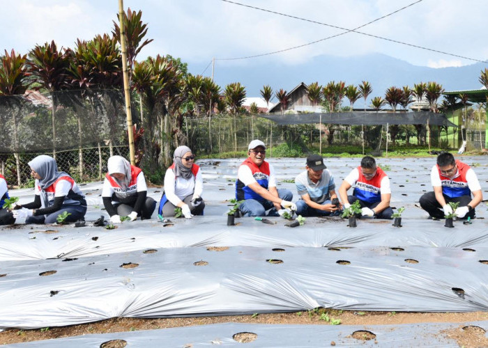 Lewat Tanggung Jawab Sosial Lingkungan, Pertamina Edukasi Keberlanjutan Energi