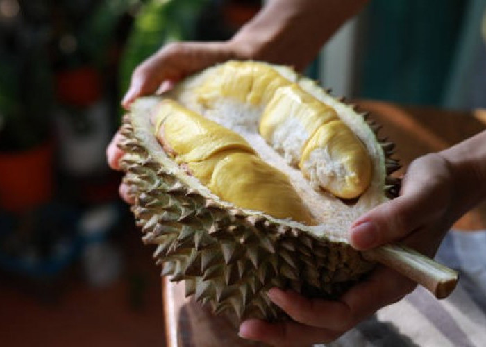 5 Makanan yang Tidak Boleh Disantap Bersama Durian