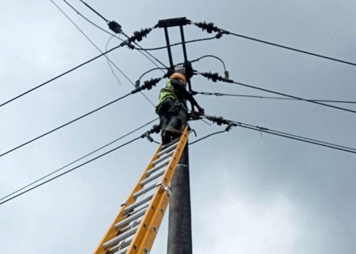 Jaga keindahan kota dan keselamatan masyarakat, PLN Icon Plus lakukan perapihan dan penertiban kabel optik
