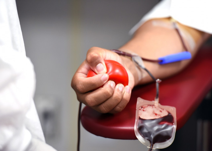 Memperingati Hari Donor Darah Sedunia, Ketahui Inilah Manfaat Donor Darah Bagi Kesehatan Tubuh!