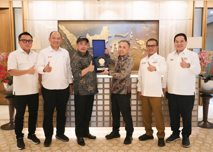 Dukung Visi Energi Nasional, Kang DS Perkuat Peran Daerah dalam Proyek PLTS melalui APKASI