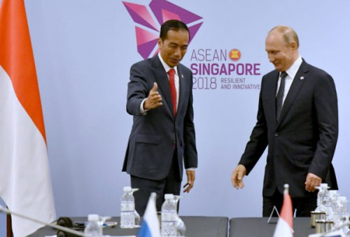 Jokowi dan Putin Akan Bertemu untuk Membicarakan Hal Penting, Apa Itu?