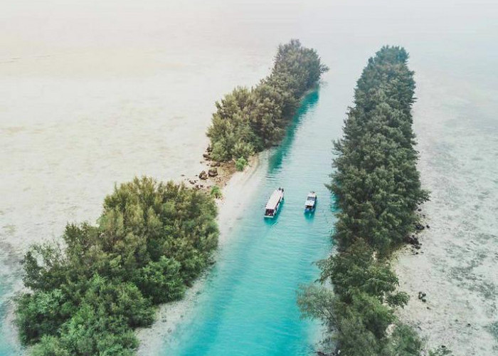 Menikmati Keindahan Alam Bawah Laut di Pulau Tidung, Kepulauan Seribu