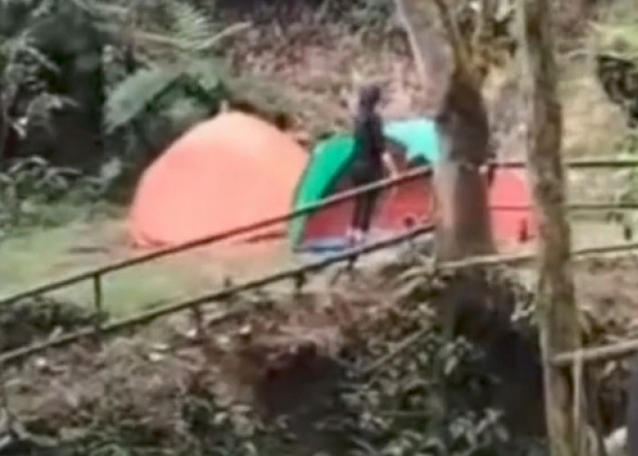 Viral Video Sejoli dalam Tenda Bergoyang, Pemkab Bogor Minta Pengelola Wisata Lebih Tegas