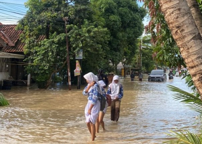 BPBD Cirebon Evakuasi Serta Penanganan Dampak Banjir di Tujuh Kecamatan