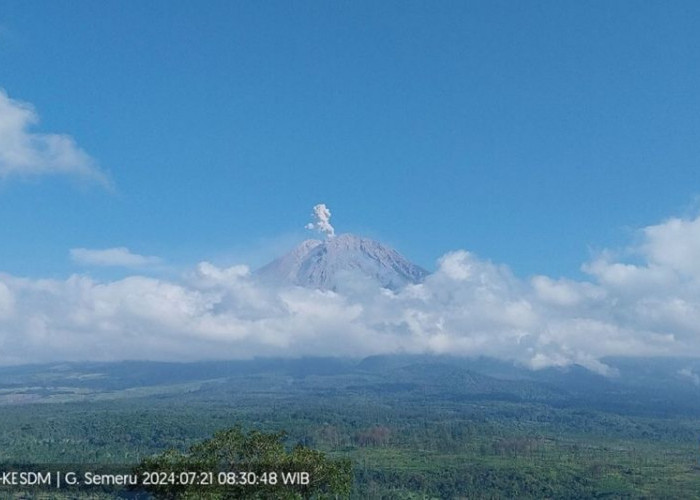 Gunung Semeru Alami Tiga Kali Erupsi pada Selasa Pagi: PVMBG Imbau Masyarakat Waspada   