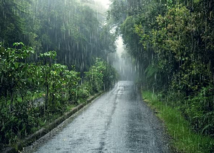 Mengungkap Misteri Alam: Cara Memprediksi Hujan dengan Lebih Akurat