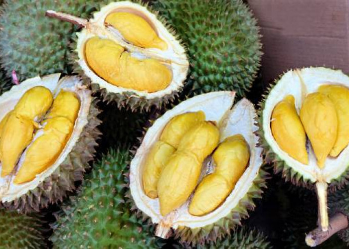 Manfaat dan Efek Samping Buah Durian: Keseimbangan Konsumsi yang Perlu Dipertimbangkan