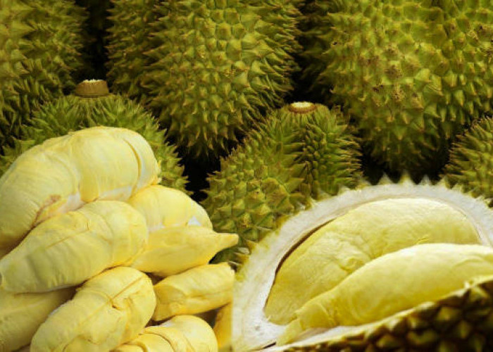 7 Jenis Durian Terpopuler di Indonesia, Mana yang Paling Kamu Suka?