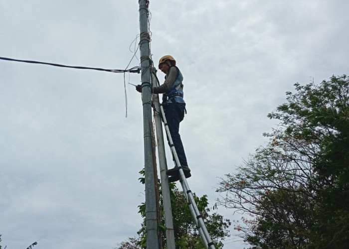 Wujudkan Layanan Berkualitas, PLN Icon Plus Lakukan Penataan Aset di Kabupaten Indramayu