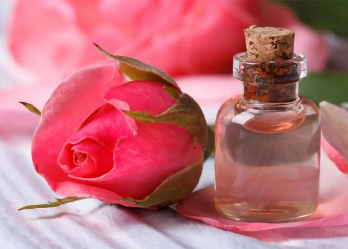 5 Manfaat Air Mawar sebagai Skincare: Cegah Penuaan Dini dan Melembabkan Kulit