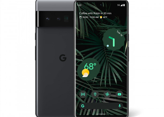 Google Pixel 6 Pro: Ponsel dengan Kamera Canggih Diakui Sebagai yang Terbaik di Dunia