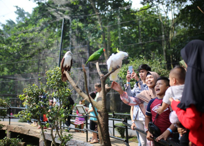 Kebun Binatang Bandung Terancam Tutup 25 Juli Mendatang! Ini Alasannya!