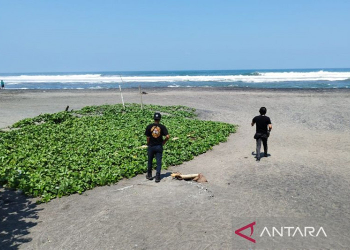 Petugas Gabungan Lakukan Pengawasan Ketat di Pantai Selatan Cianjur Selama Libur Akhir Tahun