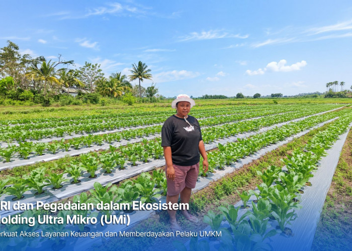Dari Gadai Emas hingga KUR Mikro, Holding Ultra Mikro Bawa Mur Dwi Astuti Sukses Jadi Petani di Merauke