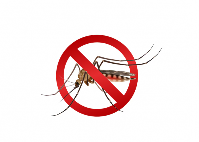 Penyakit Malaria Meningkat, Masyarakat Diingatkan untuk Peduli Terhadap Malaria oleh Ketua PAPDI