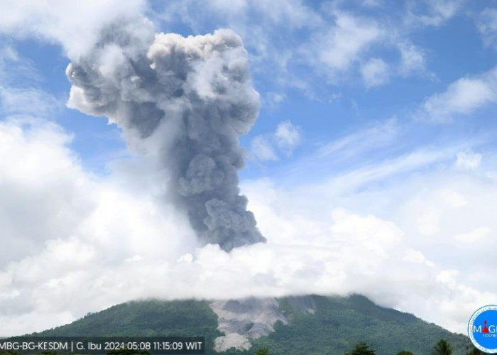 Gunung Ibu Erupsi, Semburkan Abu Vulkanik Dengan Tinggi 1.500 Meter