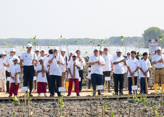 Lindungi Pantai Utara dari Abrasi, BRI Tanam 30 Ribu Bibit Mangrove dan Manfaatkan Sampah Jadi Pemecah Ombak