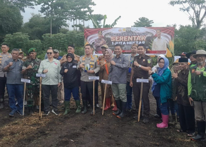 Program Ketahanan Pangan, Polresta Bandung Tanam Jagung Serentak 1 Juta Hektare