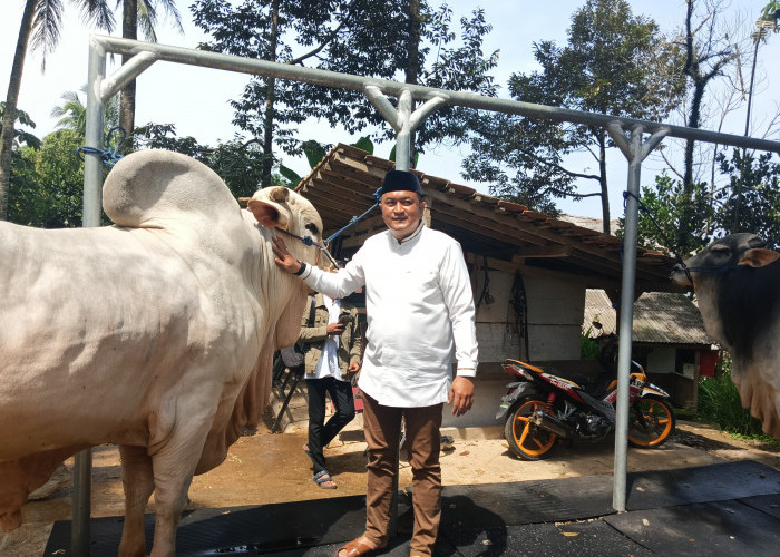 Cabup Bogor, Rudy Susmanto Kunjungi KAAS FARM, Dorong Pengembangan Peternakan Lokal